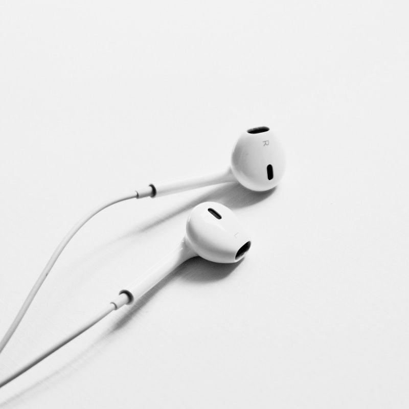 Wired Earphones
